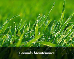 grounds maintenance grounds maintenance |